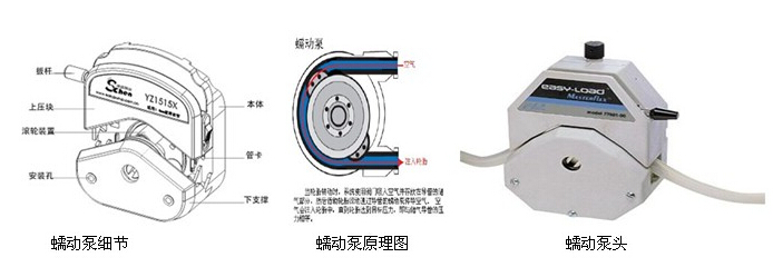 蠕動(dòng)泵半自動(dòng)液體灌裝機細節